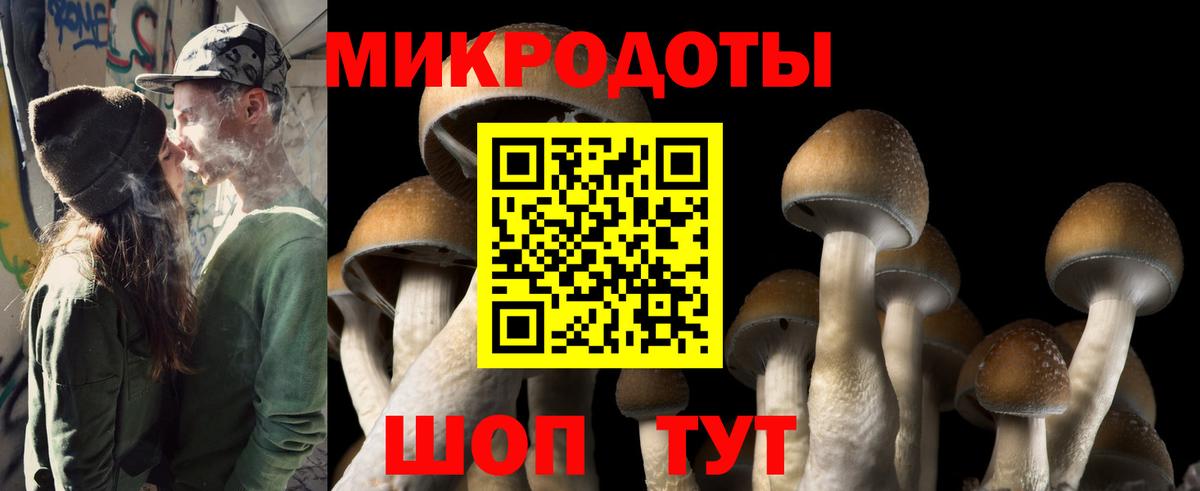 Гуково  Псилоцибиновые грибы Magic Shrooms  Вход с VPN 